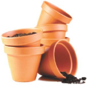 In the fall, I usually dump the contents of my annual planters and pots into a pile in the woods, then store them in my shed over the winter. Is there anything I should be doing to my pots before I put them away? Connie