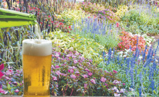 Is it true that I can use beer as a fertilizer for my plants? Karen