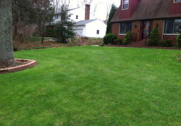 Organic Lawn Care Services for Salem Connecticut.