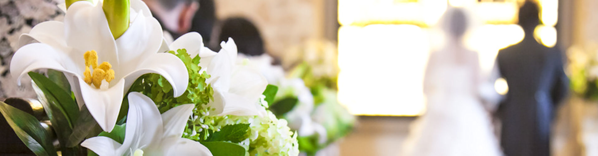 Rainwater Management, Floral & Decor, Firewood, and Snow Removal Services for East Lyme, Niantic, Old Lyme, and Old Saybrook. Rainwater Management, Floral & Decor, Firewood, and Snow Removal Services for East Lyme, Niantic, Old Lyme, and Old Saybrook.