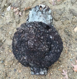 Now that the leaves are off the trees, I notice that my cherry tree has several large, ugly black growths. They concern me; what is causing them and what do I do about them?