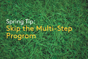 Consequences Of Multi-Step Lawn Programs