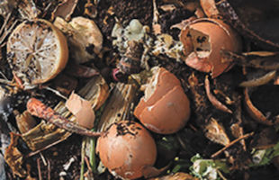 Composting Tips