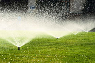 Lawn Irrigation