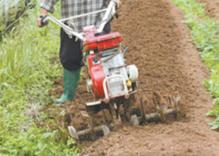 Rototilling a Vegetable Garden