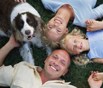 Contact Sprigs & Twigs to discuss how our Organic Lawn Care Services can improve the health of your lawn.
