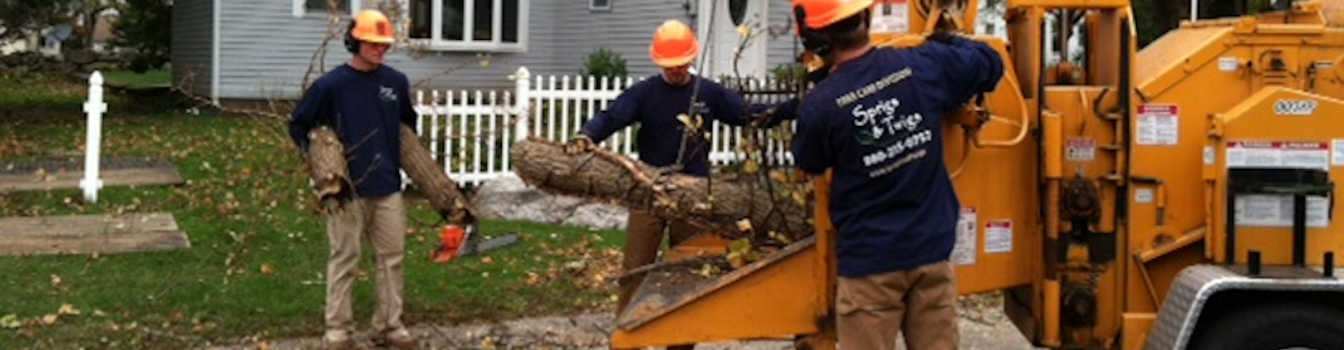 Tree Care, Tree Removal, Tree Pruning, Tree Limbing Services for East Lyme, Niantic, Old Lyme, and Old Saybrook.