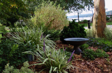 Landscape Installation Services for East Lyme, Old Saybrook, Niantic, Waterford, Groton, Ledyard, Mystic, and Stonington.