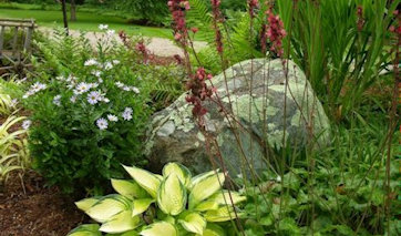 The Sprigs & Twigs Landscape Design & Installation team will create the garden on your dreams whether it be in full sun, full shade or in between. Our national award-winning team emphasizes use of native plants and naturalistic design principles. This portfolio contains some of our recent projects.