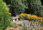 2020-08-Landscaping