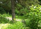 DSCN5443