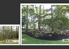 woodland-29