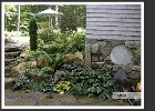 woodland-38