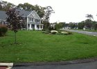 organic-lawn-care-01