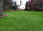 organic-lawn-care-02