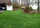organic-lawn-care-03