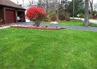 organic-lawn-care-05