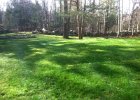 organic-lawn-care-07