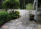 DSCN3554